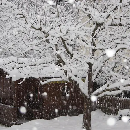 לינה וארוחת בוקר Haus Josef מאיירהופן