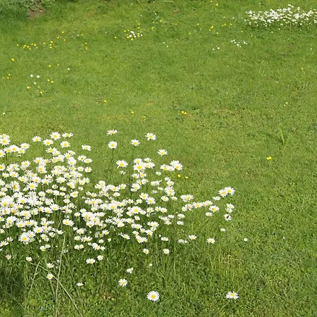 לינה וארוחת בוקר Haus Josef