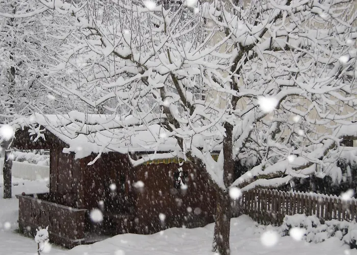 Bed & Breakfast Haus Josef Mayrhofen