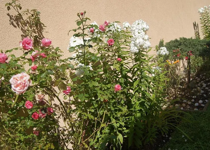 Haus Josef فندق مبيت وإفطار *