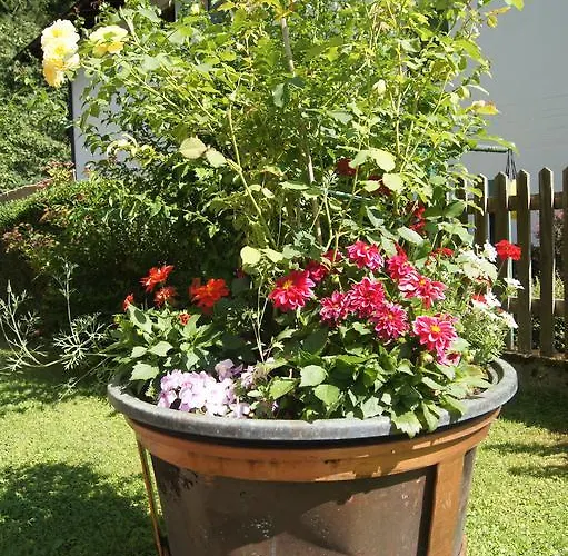 Bed & Breakfast Haus Josef *